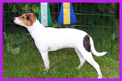 Hilma